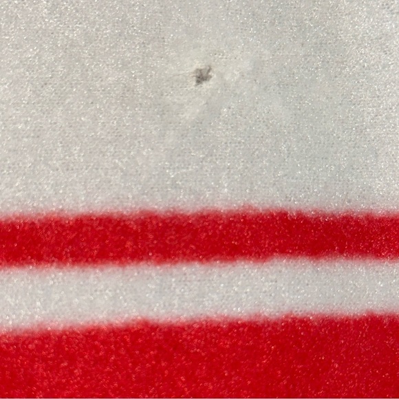 Chicago Cubs World Series Champions Throw Blanket - Picture 10 of 11